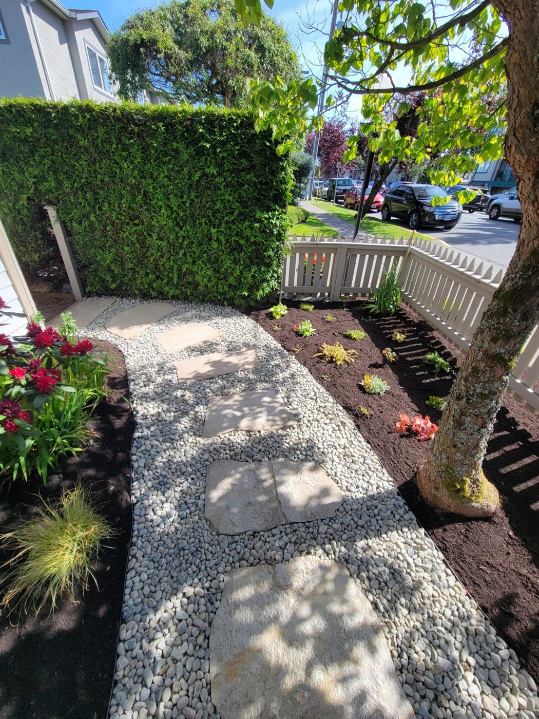 Garden pathway and planting - O’Callaghan Landscaping Ltd.