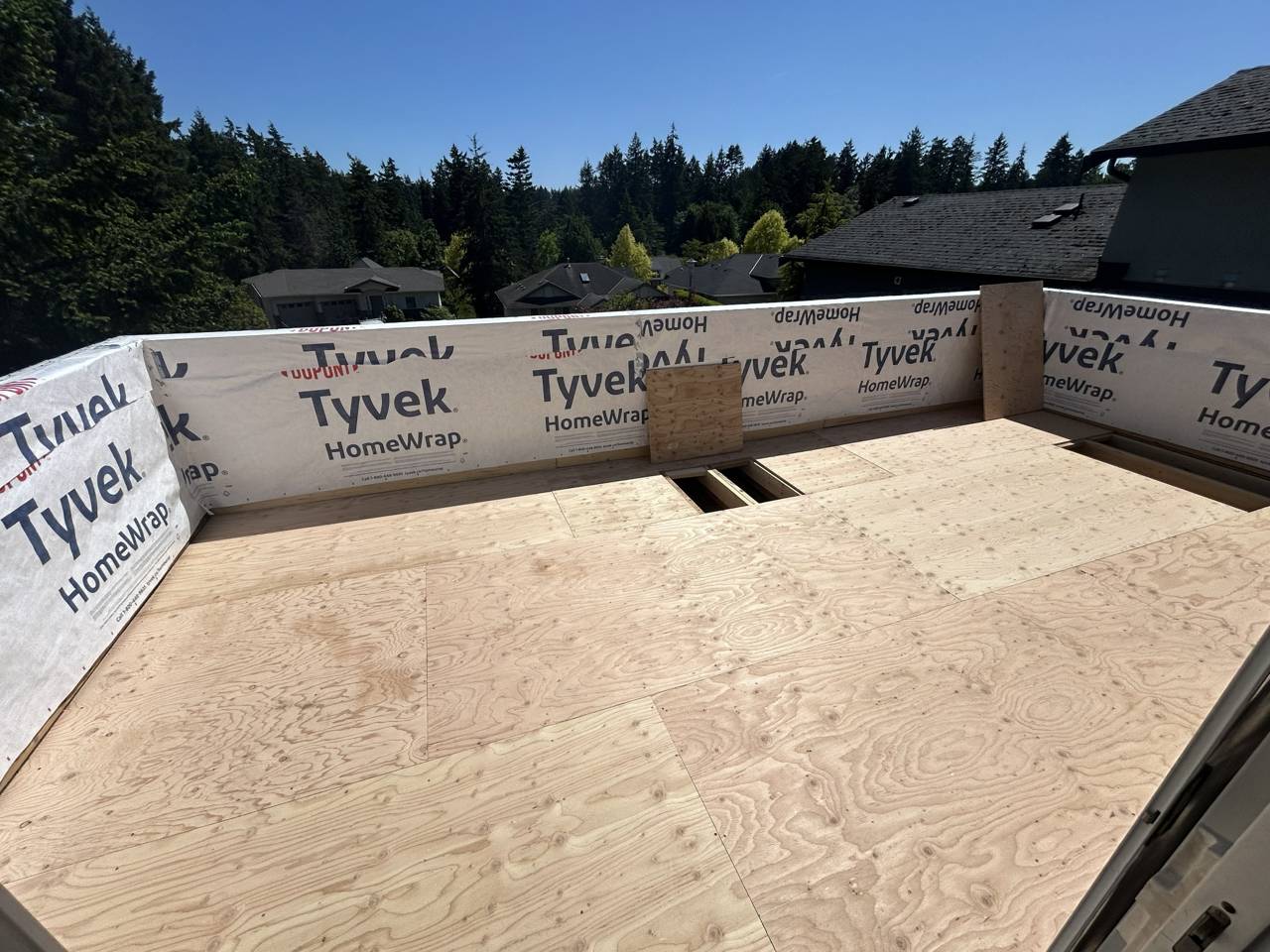 Deck surface and railing - in progress - new substrate