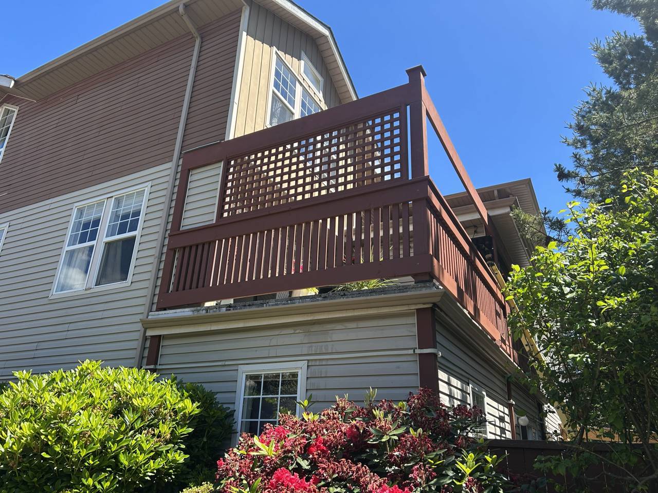 Outdoor privacy screening - after - trellis detail